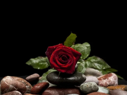 7. Ev Balık Burcu Astrolojik Subtil Mesajı