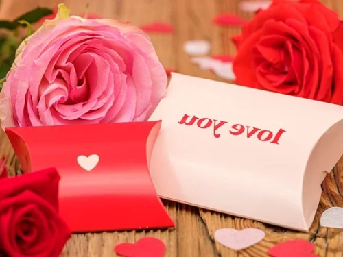 Kuzey Ay Düğümü 6. Evde Yay Burcunda Astrolojide Nasıl Yorumlanır?